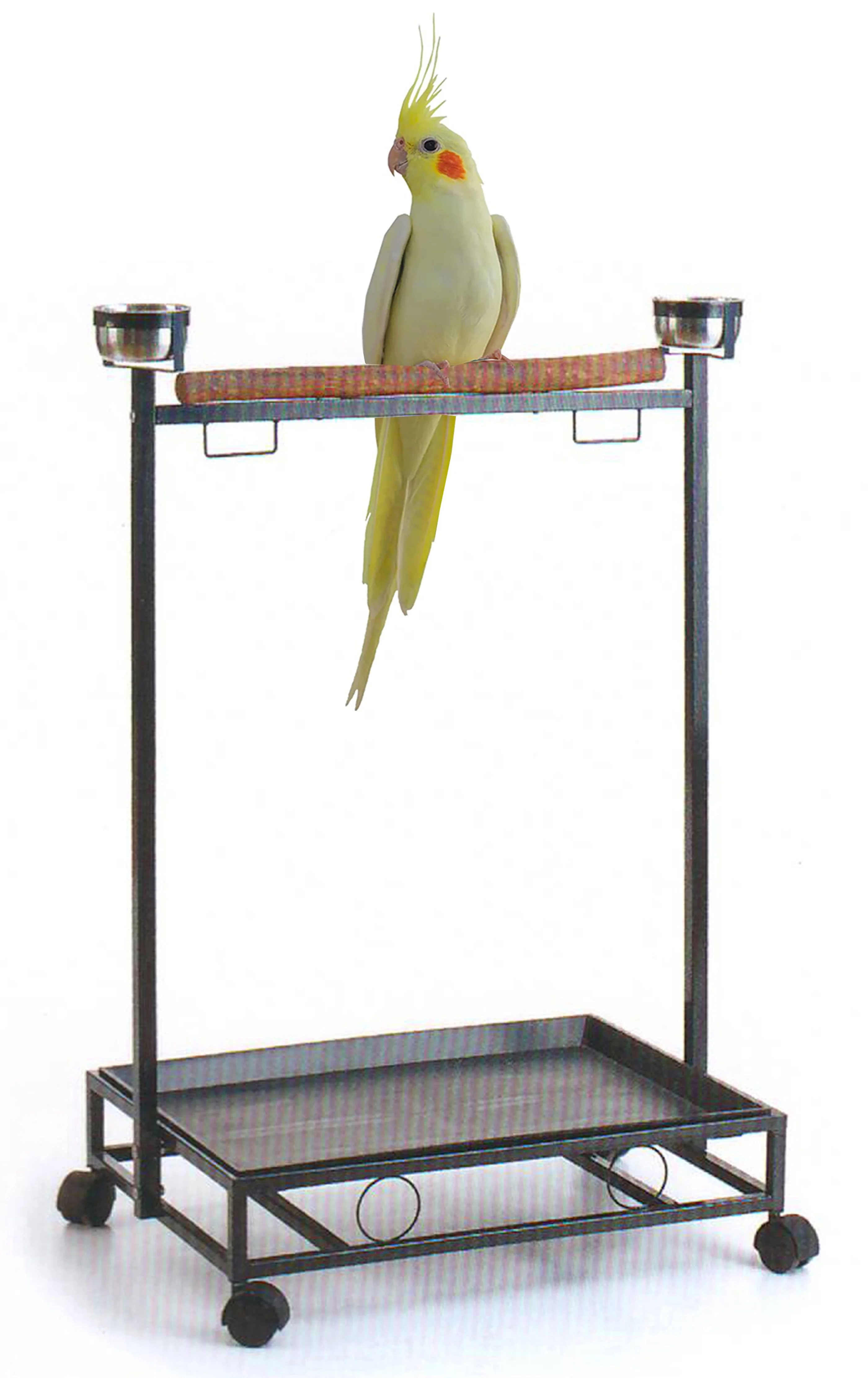 Large Deluxe Parrot Bird Play Cockatiels Stand Natural Wood Perch Stainless Steel Bowls Play Gym Play Ground Rolling Stand