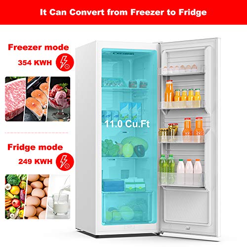 Galanz Convertible Freezer/Fridge, Electronic Temperature Control