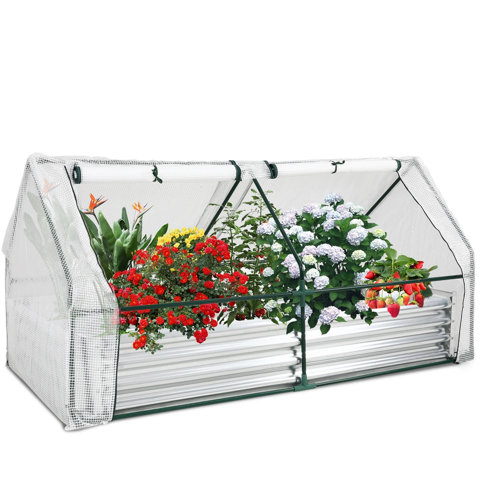 Olenyer Portable Arched Greenhouse and Galvanized Raised Garden Bed, PE Cover for Protecting Plant from Cold Frost & Birds & Insects, Garden Box Kit for Fruit, Vegetable, Flower, 71