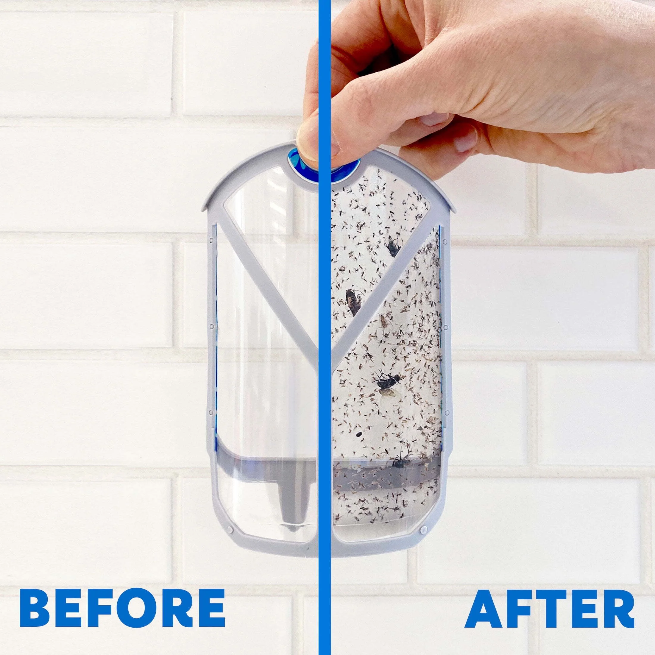 Zevo Flying Insect Fly Trap (1 Device & 3 Refill)