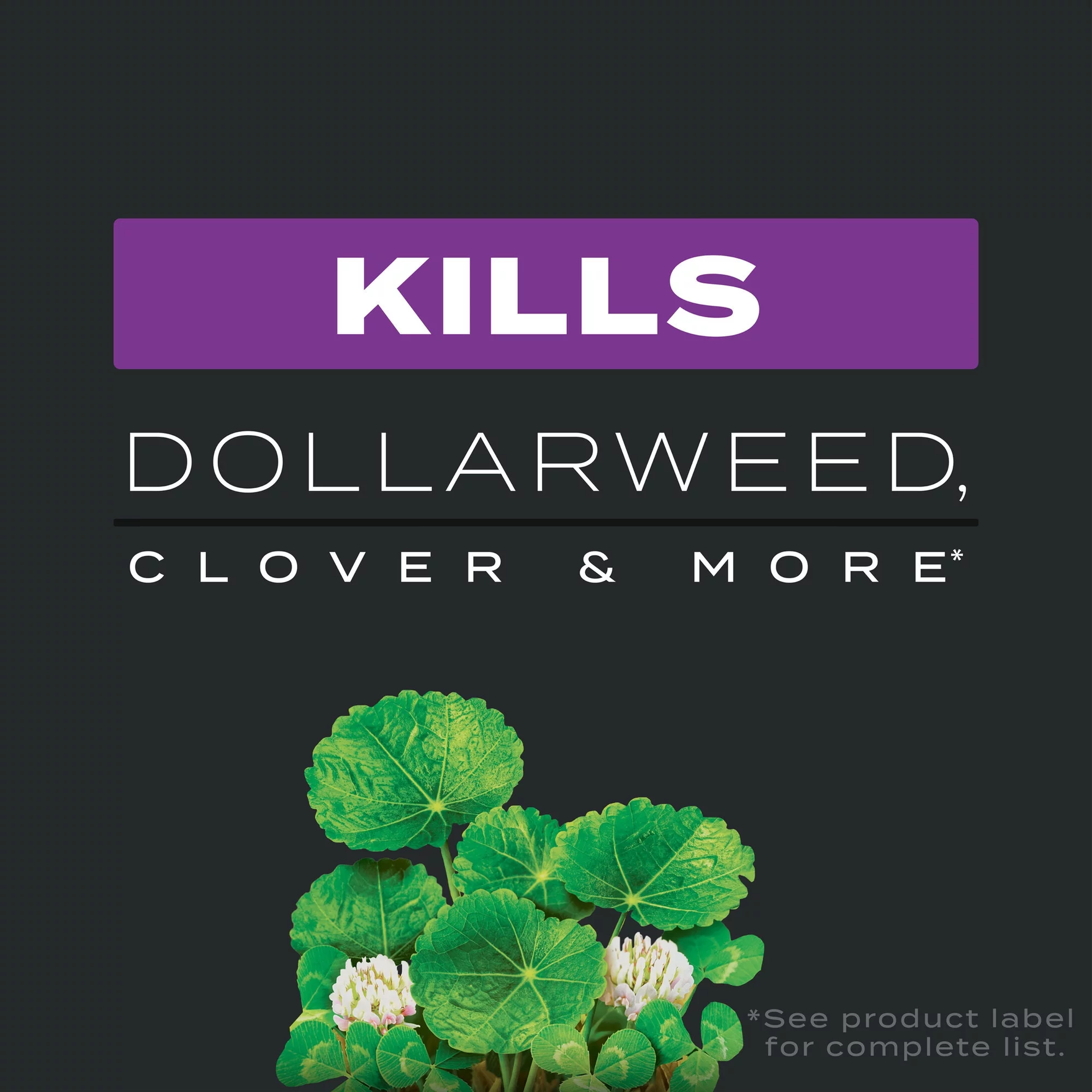 Scotts Turf Builder Southern Triple Action, 4,000 sq. ft., 13.32 lbs.