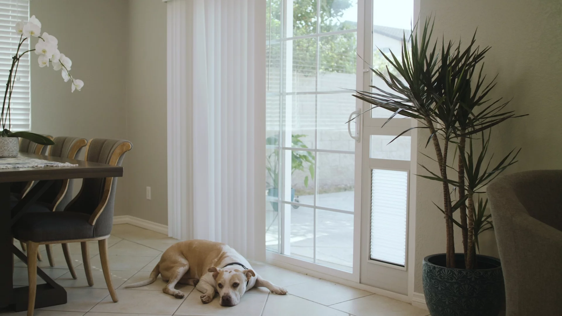 High Tech Pet Armor Flex Low-E Patio Door Regular Height - Medium