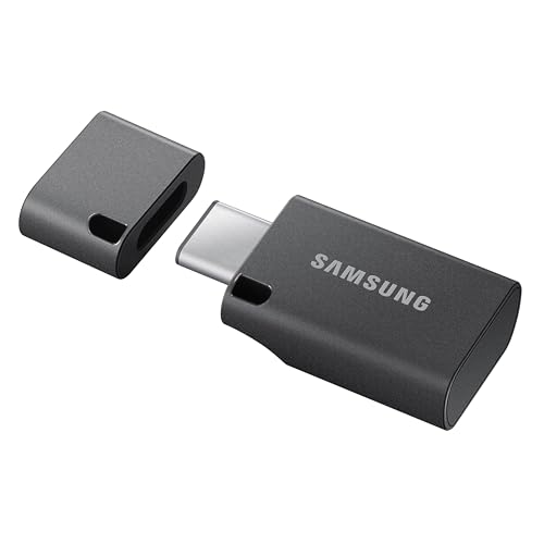 Samsung Type-C USB Flash Drive, 256GB, Transfers 4GB Files in 11 Secs w/Up to 400MB/s 3.13 Read Speeds, Compatible w/USB 3.0/2.0, Waterproof, 2022, Blue, MUF-256DA/AM