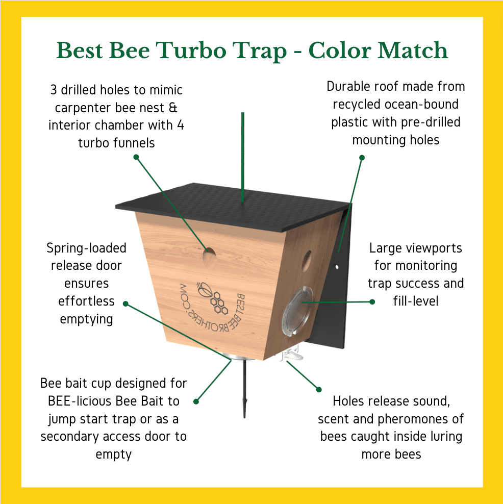 Turbo Trap with Designer Brown Roof for Catching Carpenter Bees by Best Bee Brothers