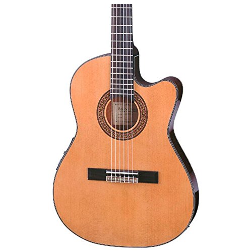 Ibanez GA5TCE Classical Acoustic-Electric Guitar