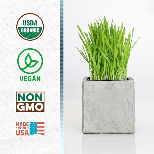 Back to the Roots 100% Organic 5-Part Salad Seeds | 1 Pound Non-GMO | Nutrient Dense, Easy to Grow, Rich in Fiber