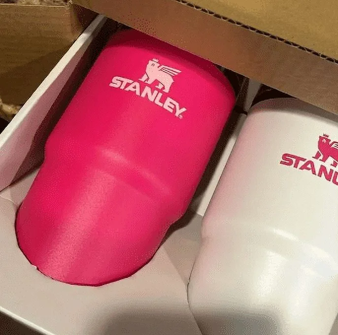 Stanley 2 pk 20 oz. Stainless Steel H2.0 Flowstate Quencher Tumblers Pink Vibes/Frost Set Christmas Gift