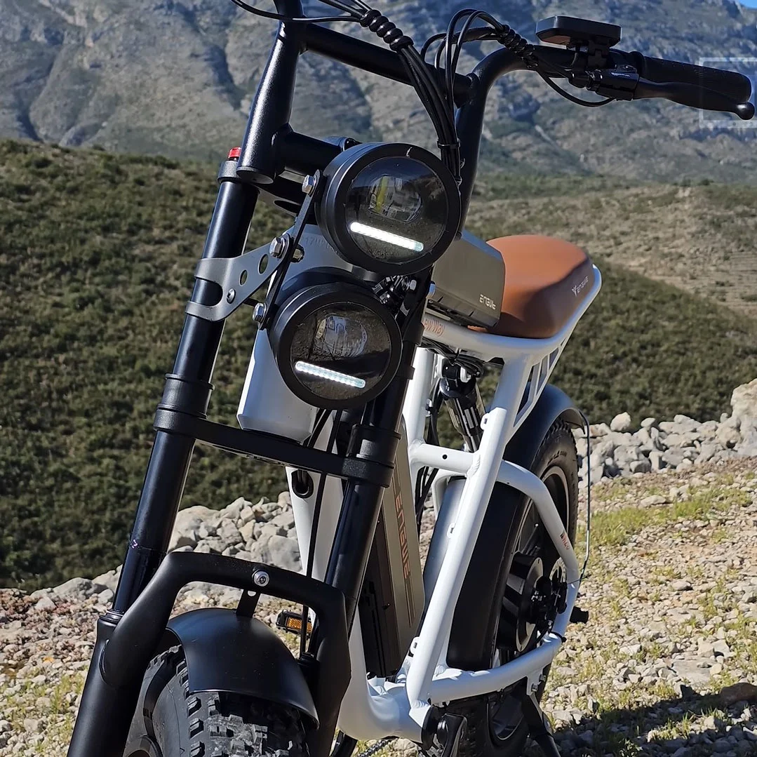 ENGWE Electric Bike 750W 20