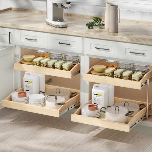 LOVMOR 2-Tier Pull Out Cabinet Organizer