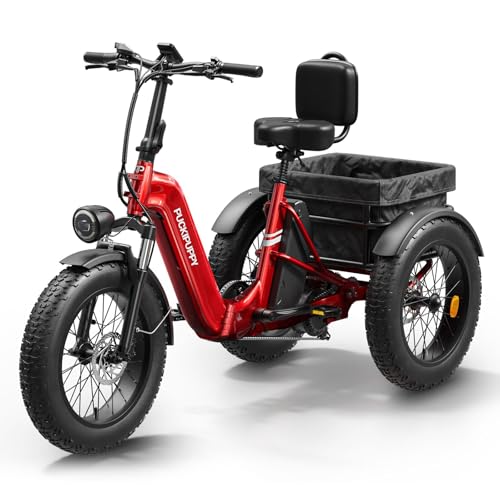 Electric Trike for Adult with 750W Motor, 48V 18AH Cells Battery, Pickup Class 500 LB Load Electric Tricycle with 20