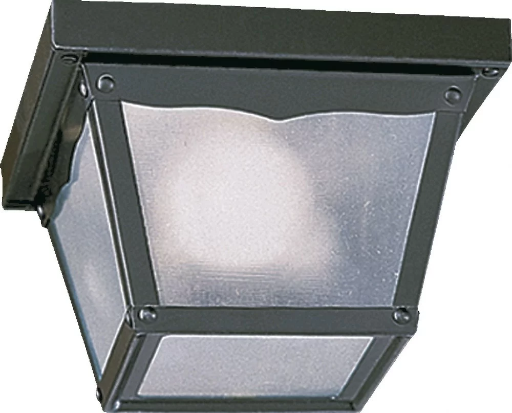 Quorum Lighting - One Light Ceiling Mount - 1 Light Outdoor Cage Flush Mount in