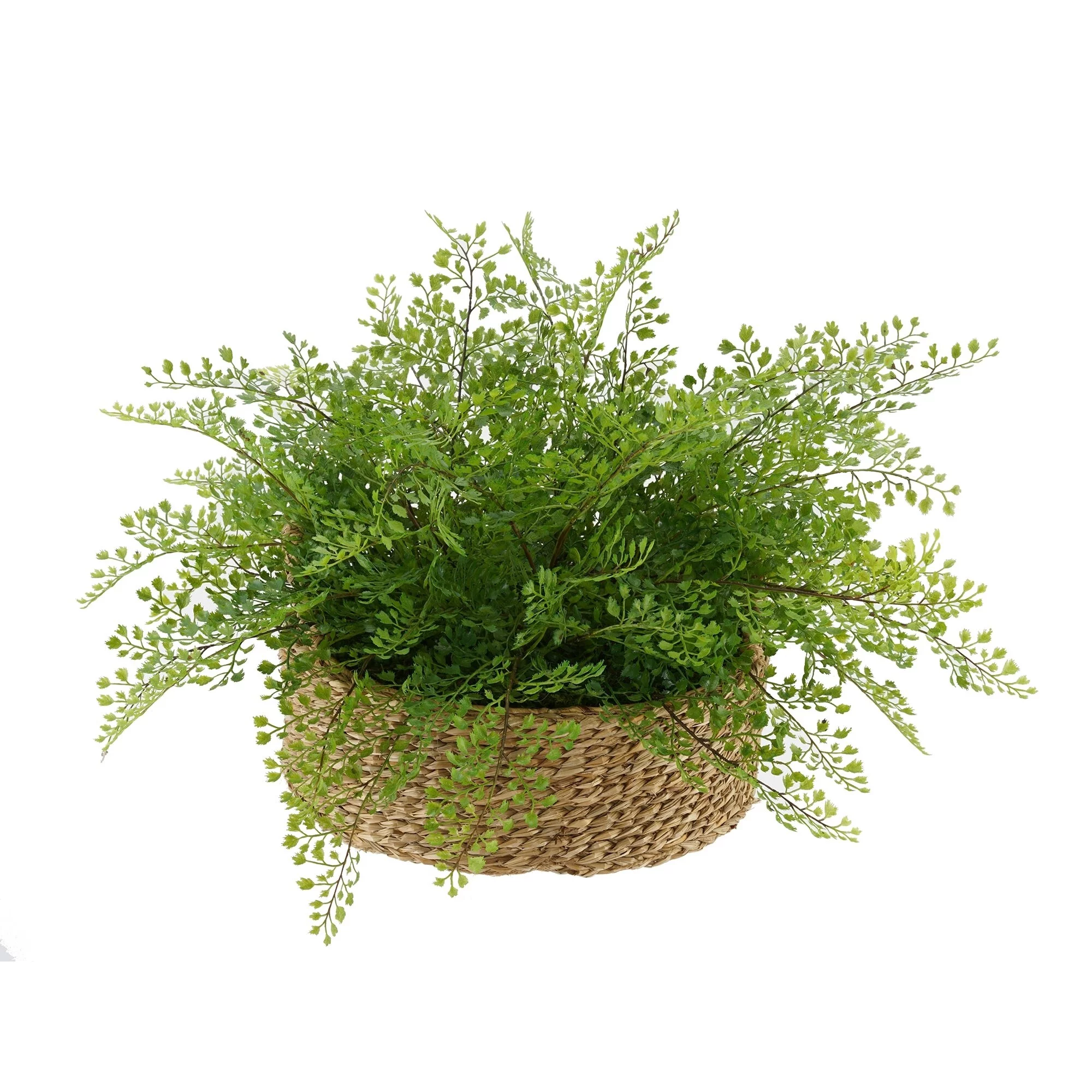 Faux Maidenhair Fern in Seagrass Tray Basket Natural