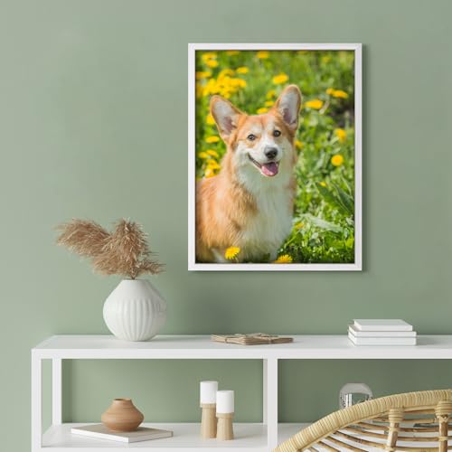 Custom Canvas Prints with Your Photos for Pet/Animal, Personalized Pictures to Canvas for Wall Framed 10x8 inches