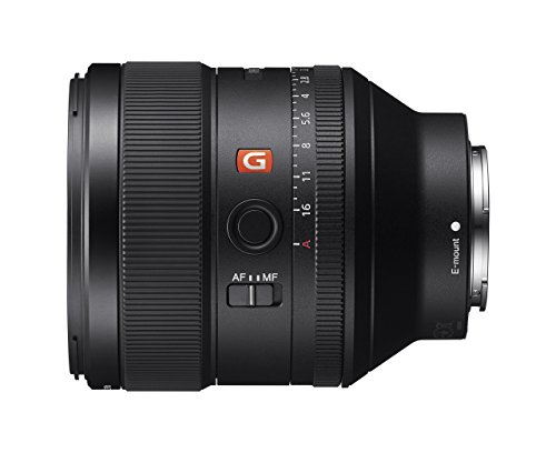 Sony FE 85mm f/1.4 GM Lens (Renewed)