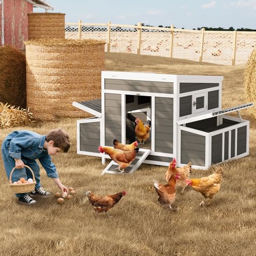 Wooden Chicken Coop, 54.41