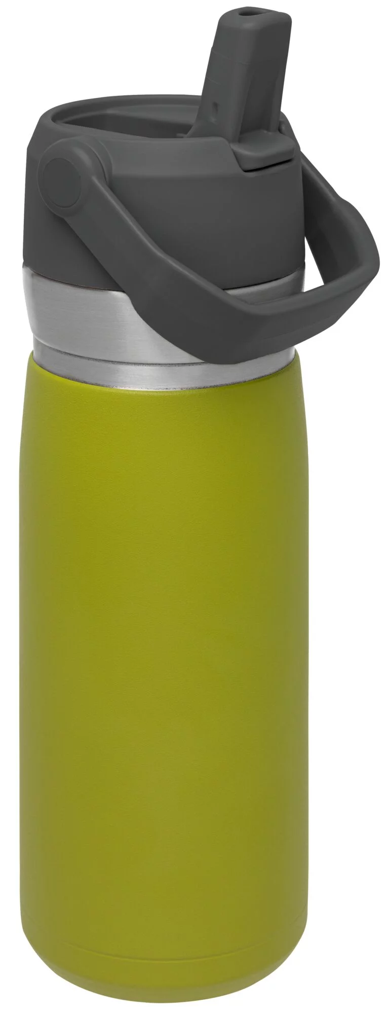 STANLEY 22 oz Green and Silver Insulated Stainless Steel Water Bottle with Straw and Flip-Top Lid