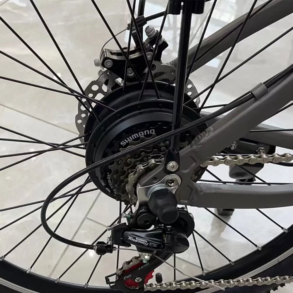 350W Electric Bike 26x4'' Fat Tire Mountain Ebike 48V 10Ah 6 Speeds Snow Beach Electric Bicycle for Adults (Black)