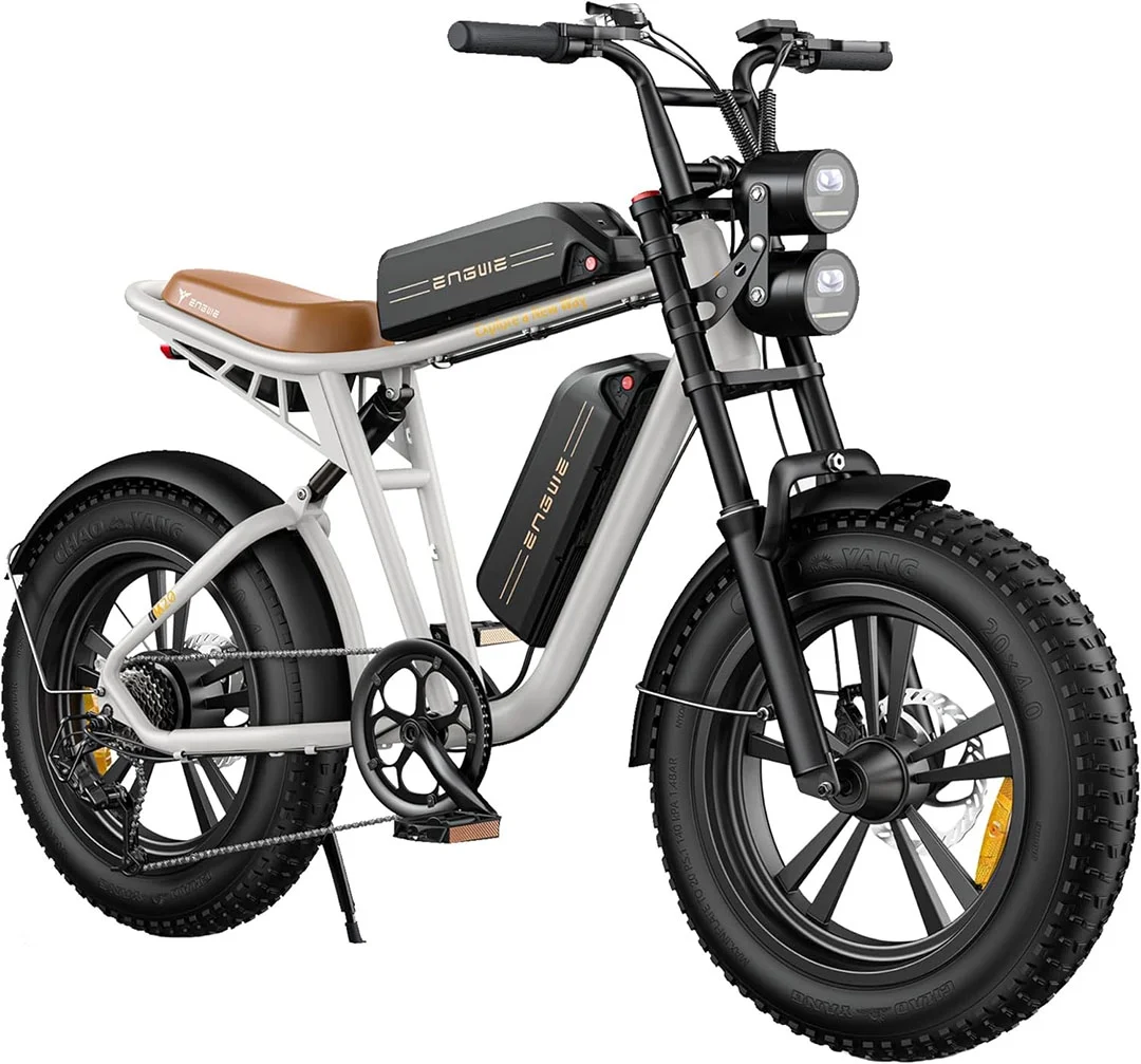 ENGWE Electric Bike 750W 20