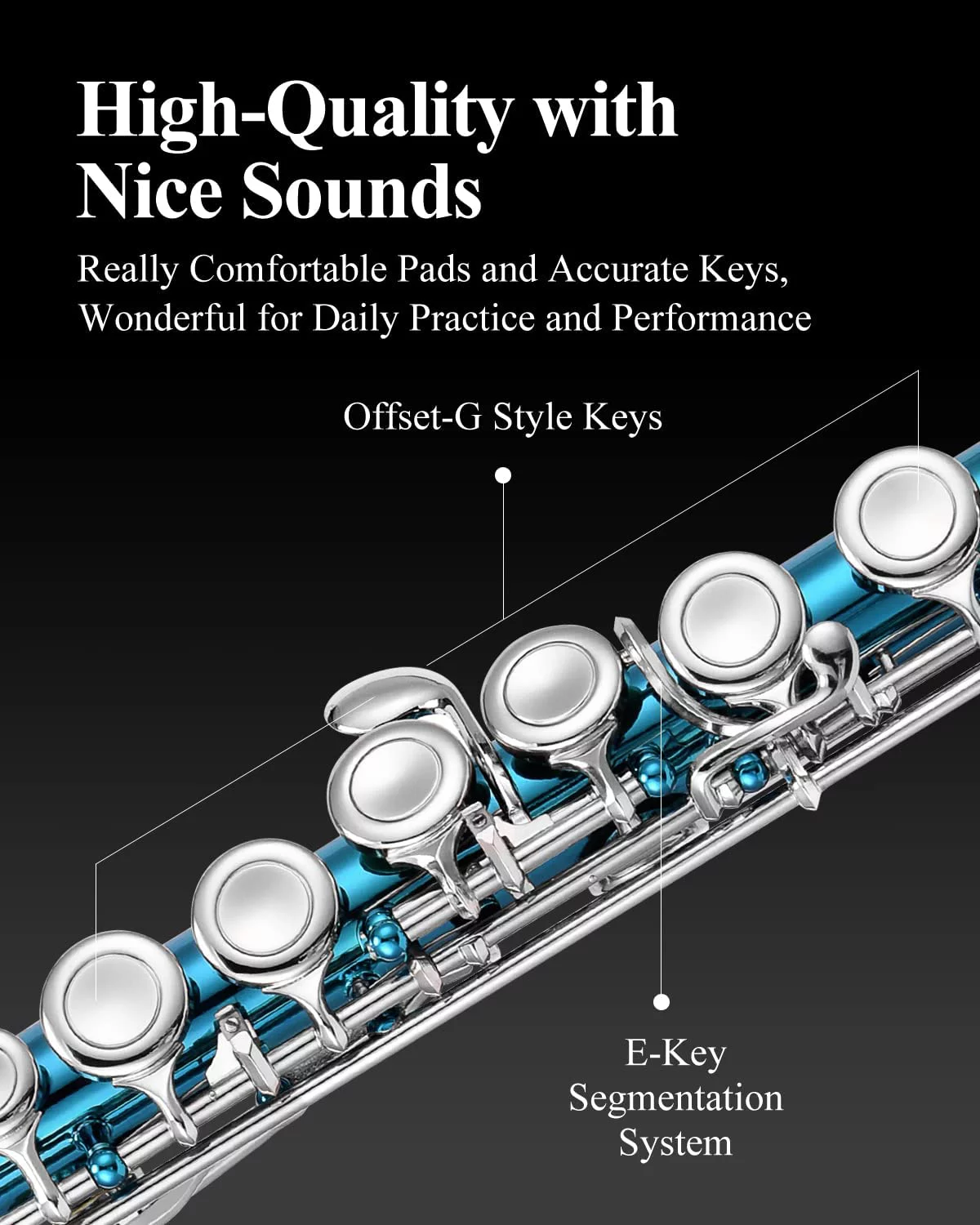 Eastar C Flutes Closed Hole with Joint Cleaning Rod, Carrying Case, Stand, Gloves and Tuning Rod, 16 Key Student Flute Beginner Kids Flute, Sky Blue