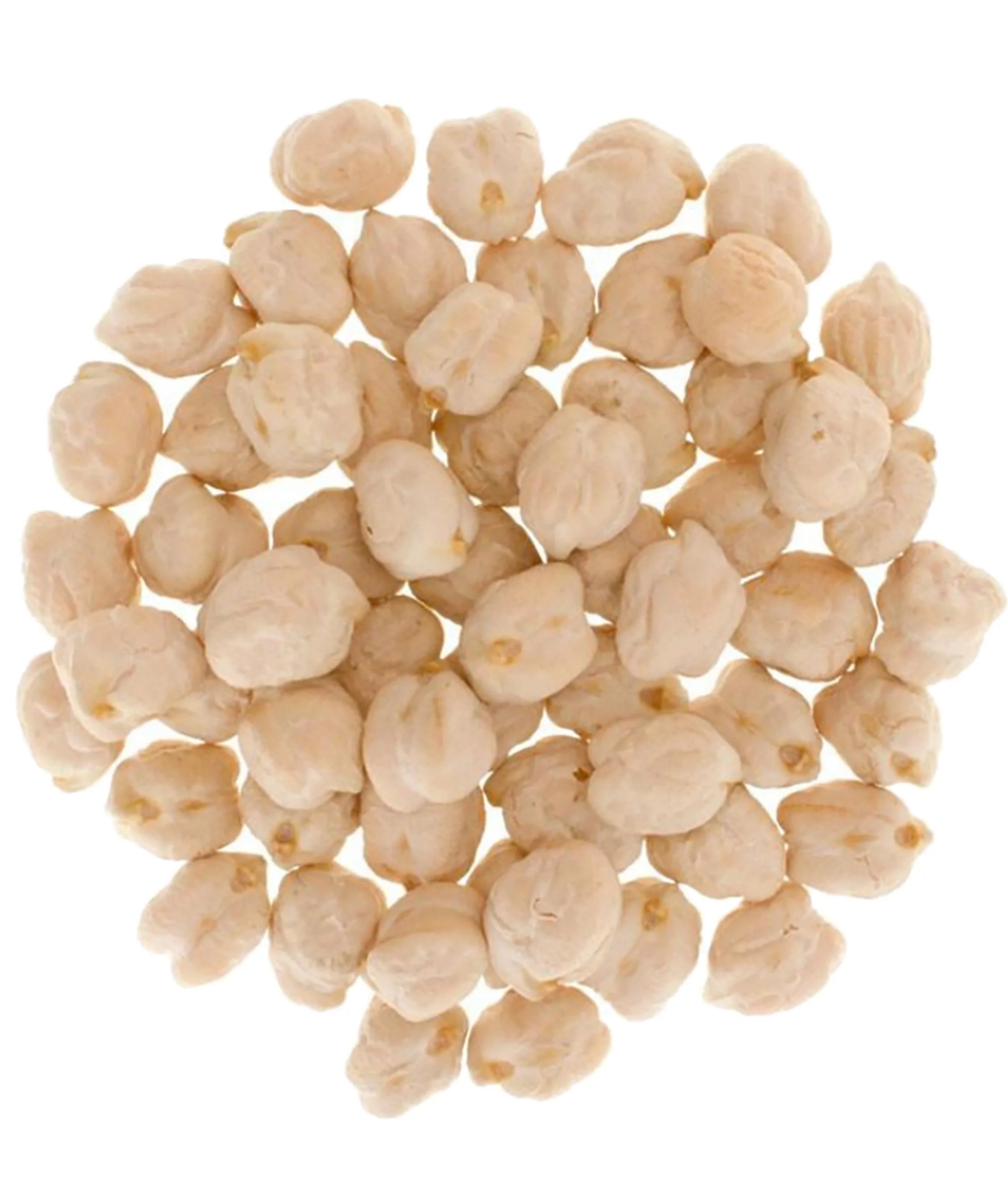 Non-GMO | Chickpeas | 25 lbs | Palouse Brand | USA Grown | Garbanzo Beans