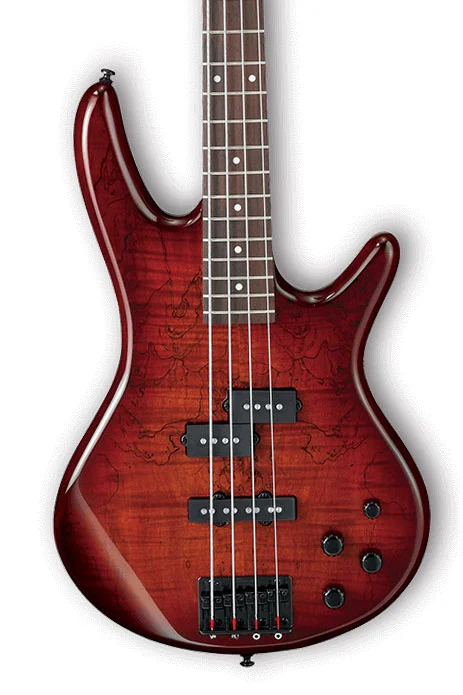 Ibanez GIO GSR200SM Bass Guitar