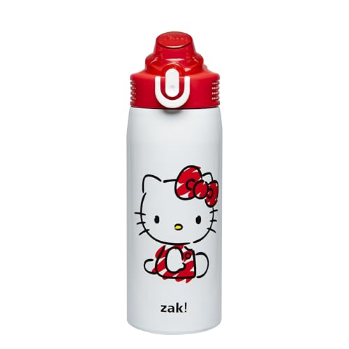 Zak Designs Sonic the Hedgehog Water Bottle for Travel and At Home, 19 oz Vacuum Insulated Stainless Steel with Locking Spout Cover, Built-In Carrying Loop, Leak-Proof Design (Sonic)
