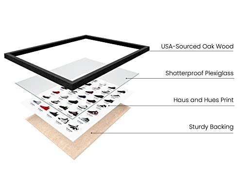 HAUS AND HUES Jordan Sneaker Posters for Guys - Michael Jordan Shoe Cool Wall Art for Bedroom, Dope Hypebeast Sneakerhead Room Decor, (12”x16” UNFRAMED)