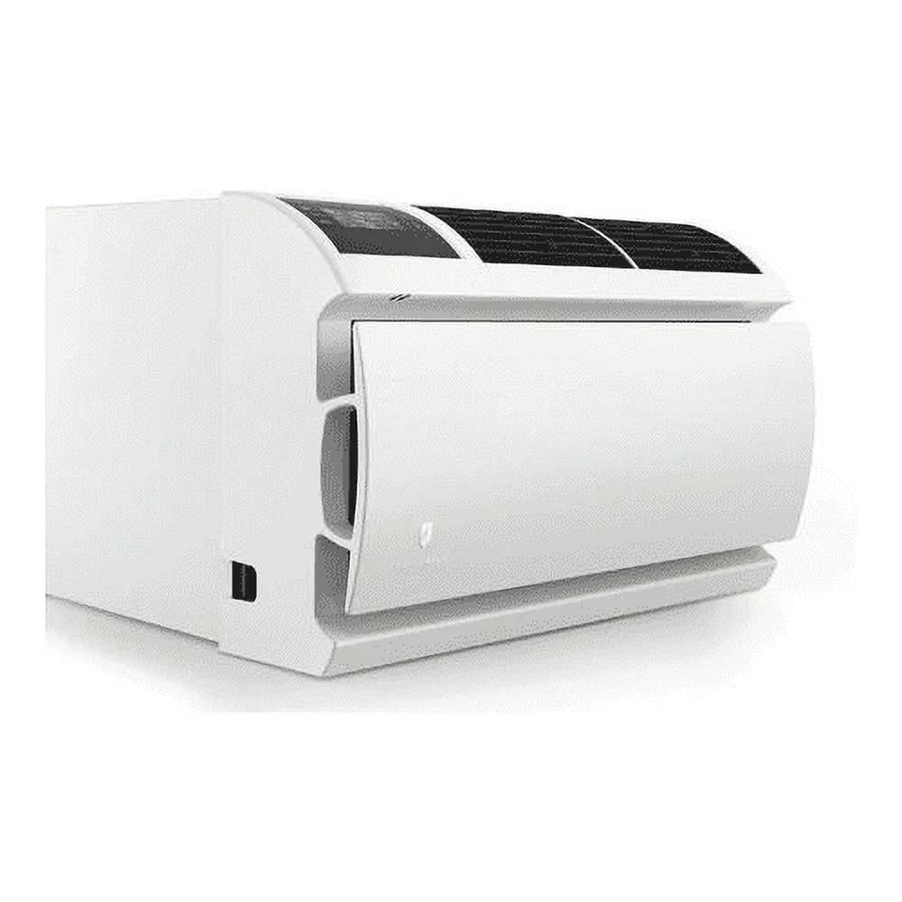 Friedrich Air Conditioning B2217126 9800 BTU Cool, 115V WallMaster WCT10A10A Wall Air Conditioner